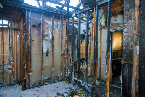 Professional Fire Damage Removal technician working in Dalbo, MN